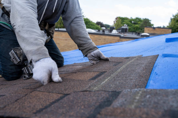 Best Storm Damage Roof Repair  in Little Canada, MN