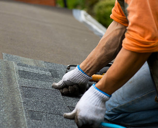 Roof Gutter Cleaning in Little Canada, MN