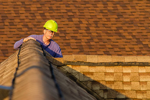 Professional Roofing Contractor in Little Canada, MN